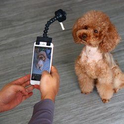 Pet Selfie Stick